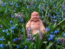 Buddha.Früh.jpg